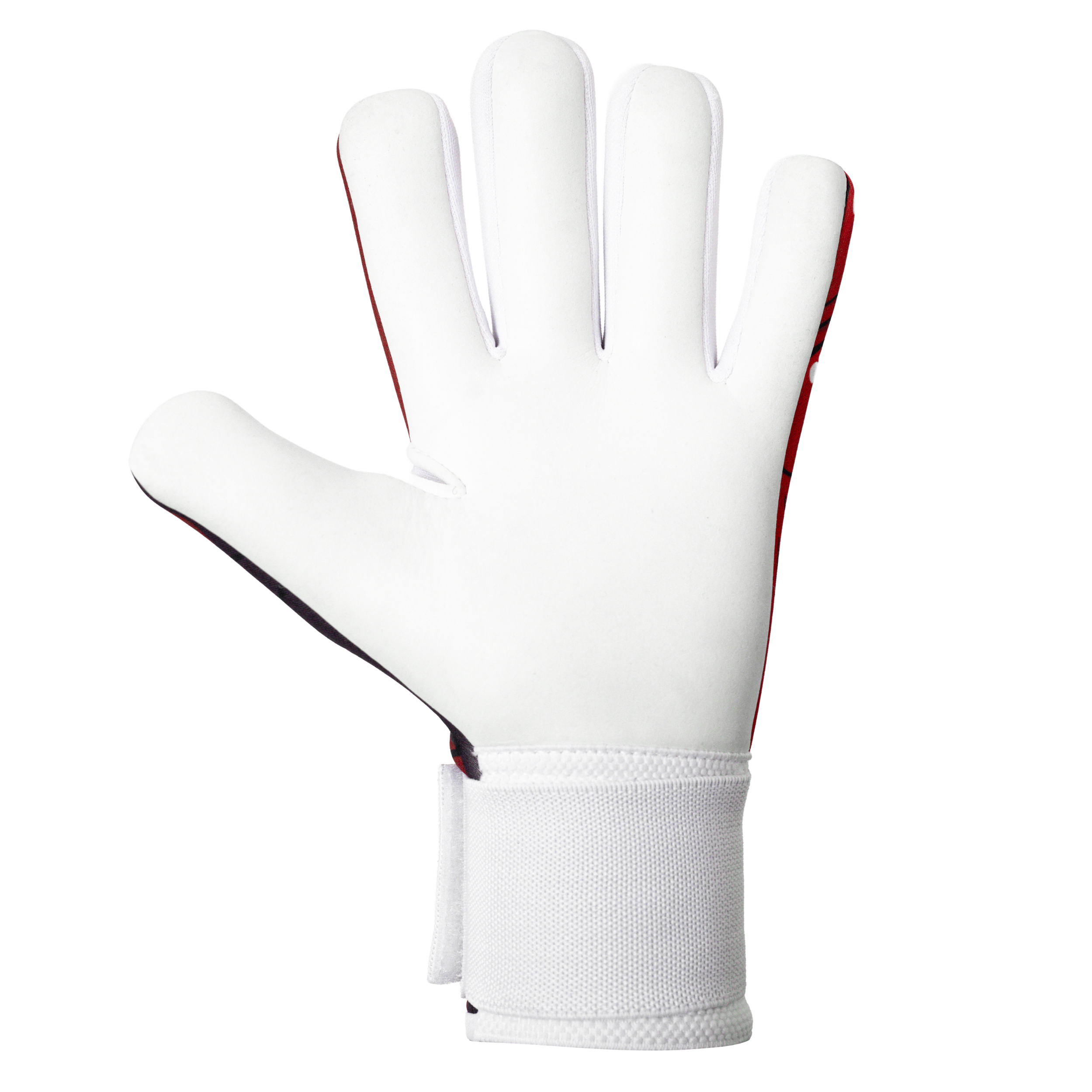 ELITE SPORT KR - Imagen 3